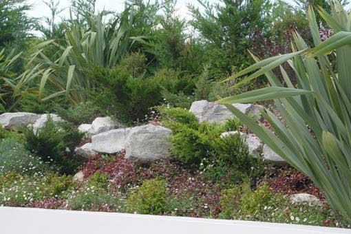 Plantas