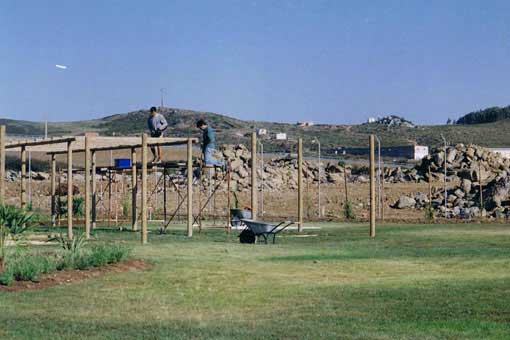 Trabalhos em Madeira